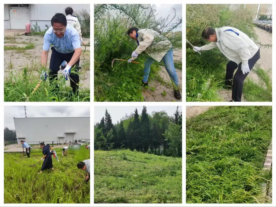 1694150061268744.jpg 除草2.jpg